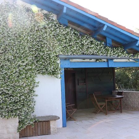 Chambre D'Hotes Au Sargaillon Pouillon エクステリア 写真