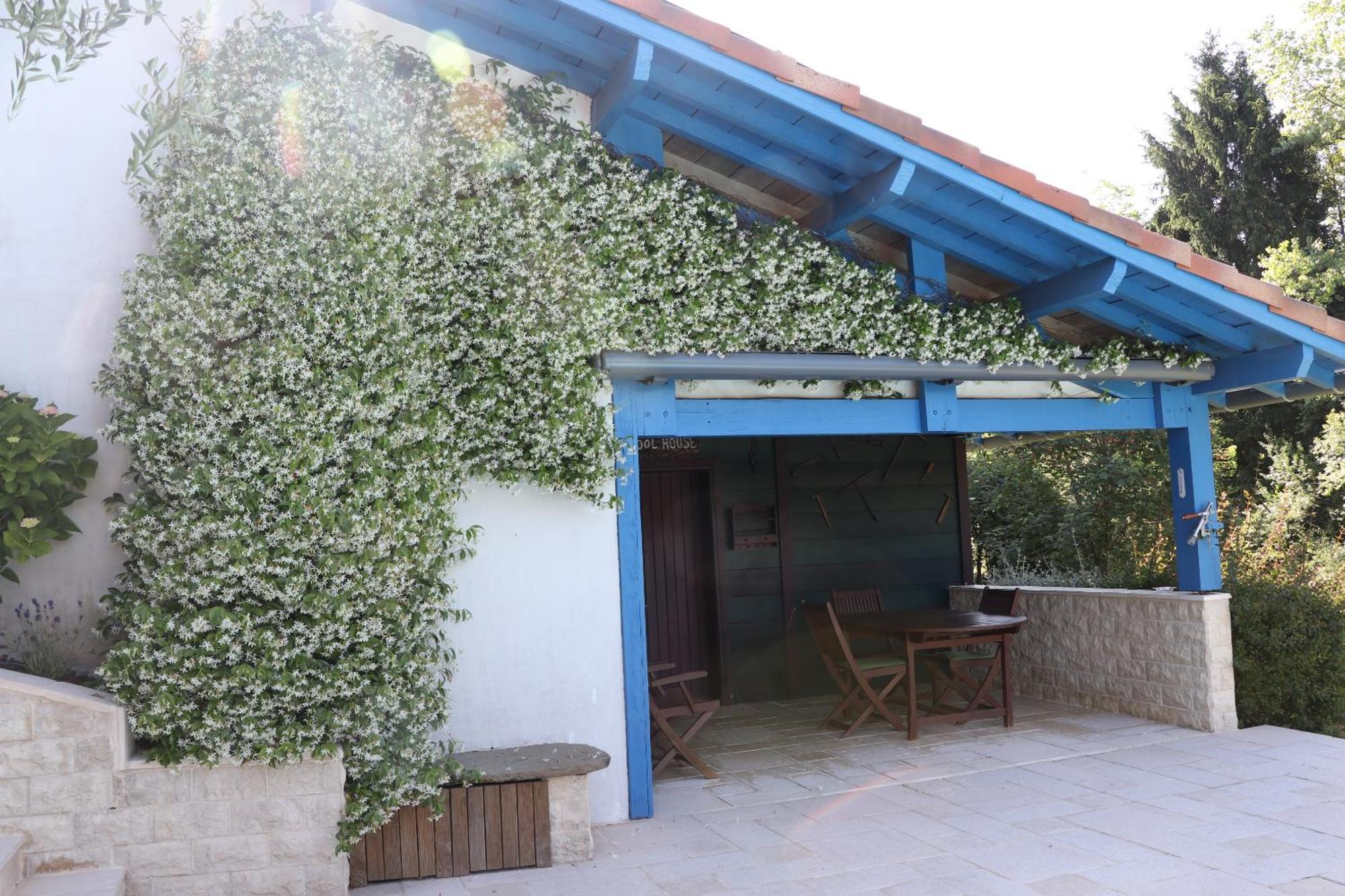 Chambre D'Hotes Au Sargaillon Pouillon エクステリア 写真